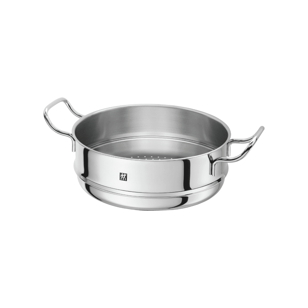 ZW Steamer PLUS